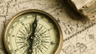 5f84 43c6 8c8c 14db35adf0d0