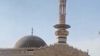 Cf6512ef 7ef1 8d71 990bb4f54304