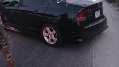 7dacb779 Aa31 4d72 8bda Be3c17dd3f58