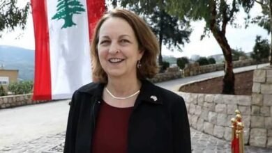 Alsfyr Alamyrky Lyza Gonson