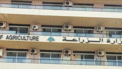 Ministry Of Agriculture