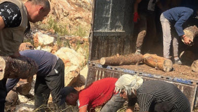 Ozar Alzraaa Msadr Htb Omaadat