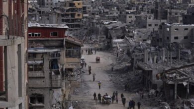 663b8e024236047d61734383