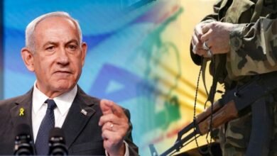 Whats App Image At 09.56.45 A9985b7d 1024×554