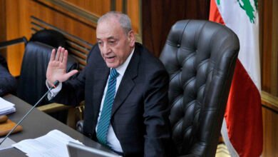 Berry E1760019739828