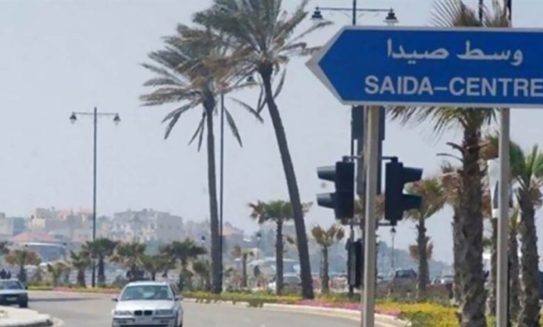 صيدا