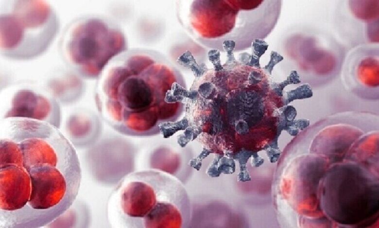 5e2e91d84c59b76035475a33