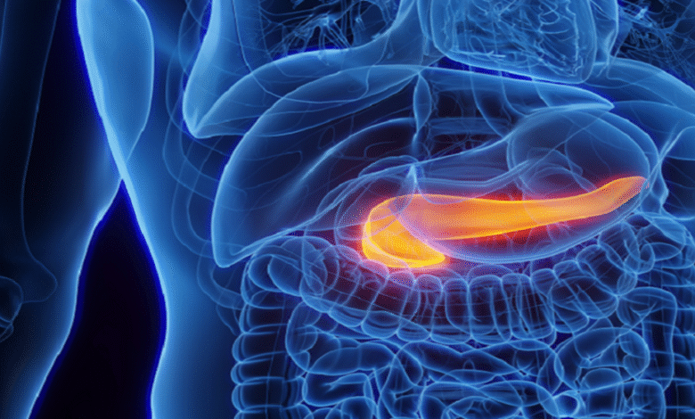 69200fd14c59b71b554ac0c4 1024×559