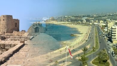 Whats App Image At 5.29.52 PM