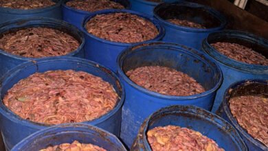 Dbt Mkhlfat Aldgag Fy Albkaaa