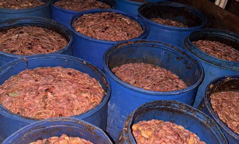 Dbt Mkhlfat Aldgag Fy Albkaaa