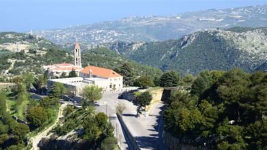 Dyr Mar Maron Aanaya