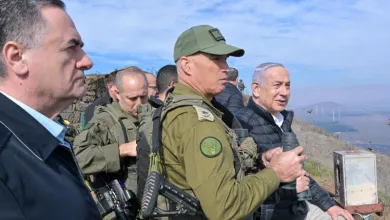 Image 1763574231.jpg