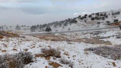 03b622efca74b72cd96bf52926f3e624