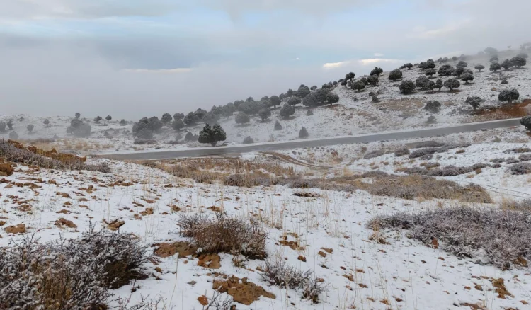 03b622efca74b72cd96bf52926f3e624