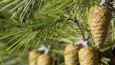 Whats App Image At 8.04.24 PM