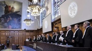 Almhkm Algnayy Aldoly