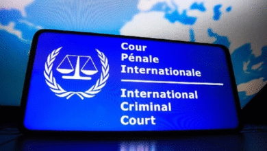 Almhkm Algnayy Aldoly