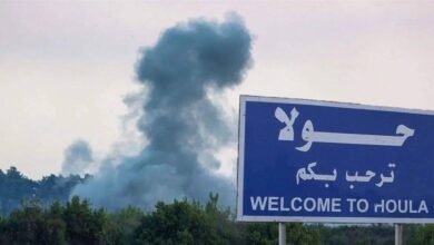 Large Doc P 230f33c31e