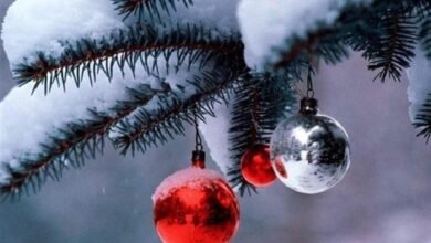 الطقس 1024×581