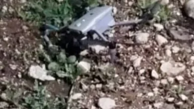 33119cba 4d53 Ad57 9609d90b5982