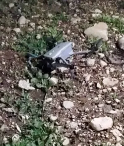 33119cba 4d53 Ad57 9609d90b5982