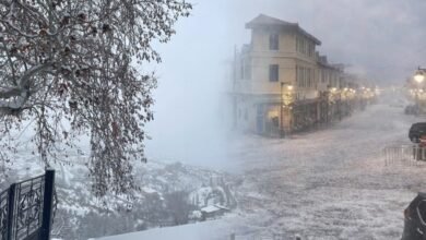 Whats App Image At 5.19.02 PM