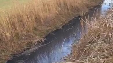 Whats App Image At 4.41.14 PM