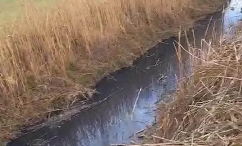 Whats App Image At 4.41.14 PM