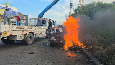 Image 1769463476.jpg