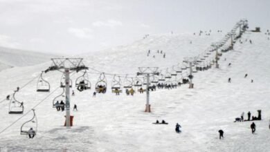 CREATOR: Gd Jpeg V1.0 (using IJG JPEG V62), Quality =