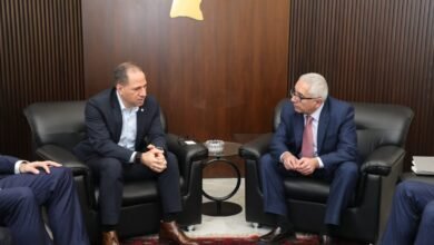 Algmyl Alsfyr Alarmny