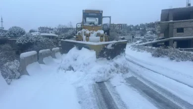 Althlogwebpwebpwebpwebp (1)