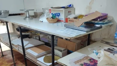 Hmlat Tftysh Aghthy Fy Alnbty