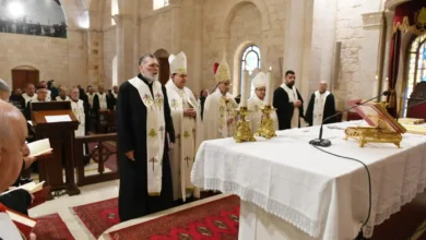 658ff444 3a17 4b56 Ba67 091ae999a28e