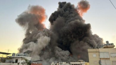 Whats App Image At 8.29.30 AM 800×549