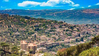 Bldy Almary Oalmgydy