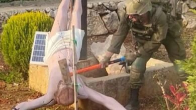 4146e205 Cffe 43ed Bf9a 07b6be7ad898