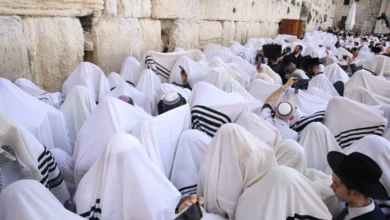 GLs43cm Ws AEp Xiujpg