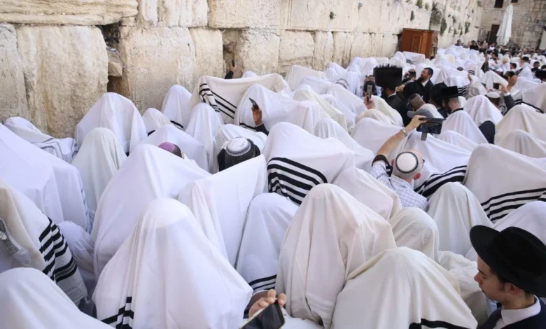 GLs43cm Ws AEp Xiujpg