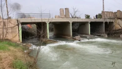 JSRLQSMYLBHRYARSHYFY214310large