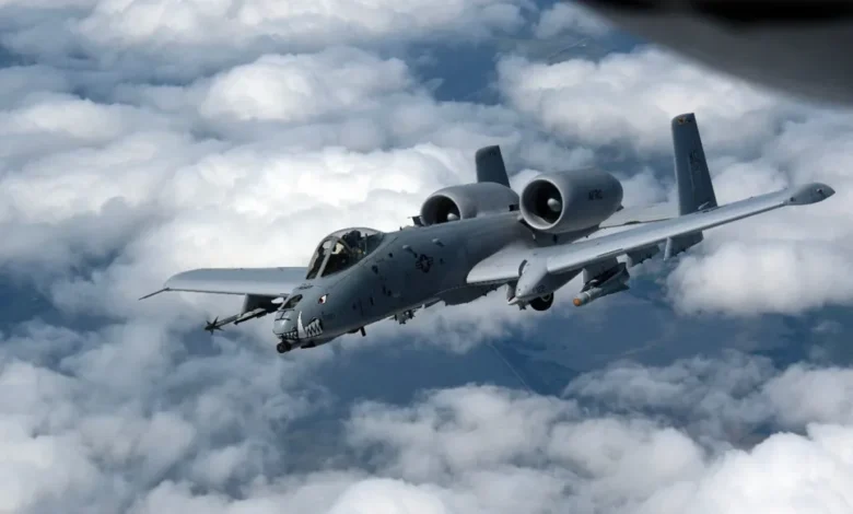 Ae6cb517c5474bca90cd5f8bd91fb5a5004212large