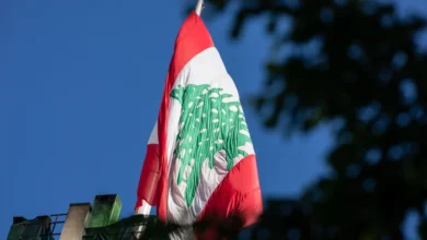 Image 1771523349.jpg