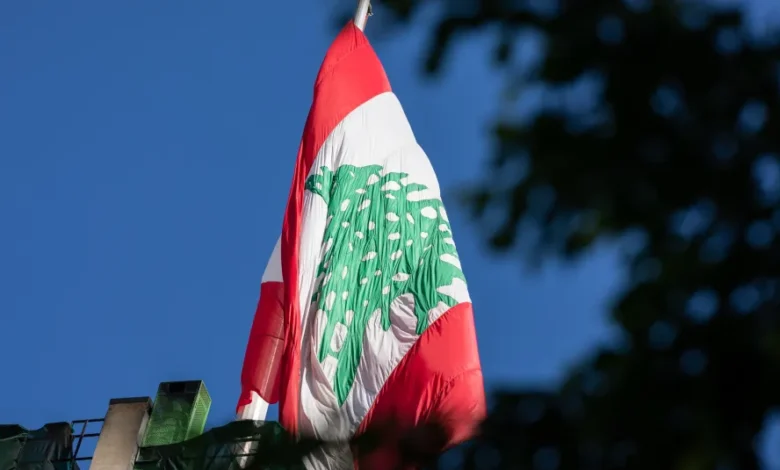 Image 1771523349.jpg