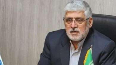 Image 1772017276.jpeg