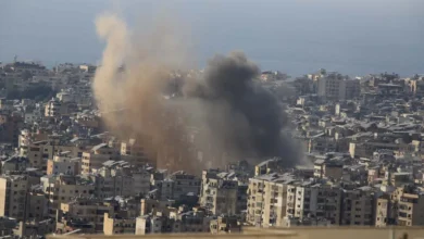 Image 1773150495.jpg