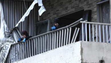 Image 1775829513.jpg