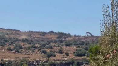 Image 1776290016.jpeg