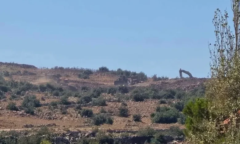 Image 1776290016.jpeg