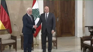 Steinmeier Aoun